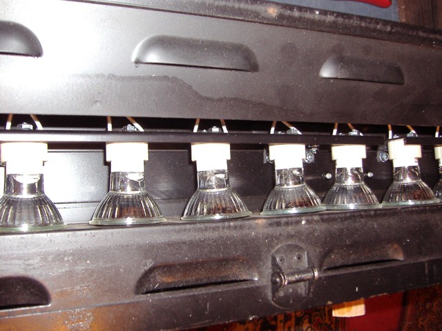 The GU10 lamps mounted in the Zip Strip.